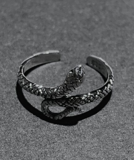 斜行小蛇 斜行小蛇